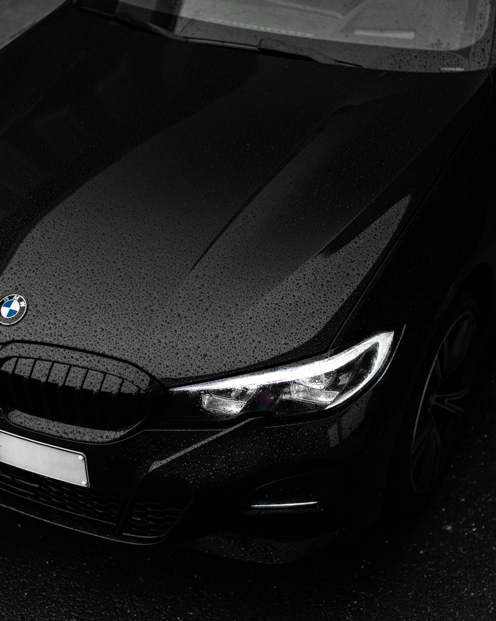 BMW Sportwagen Detail